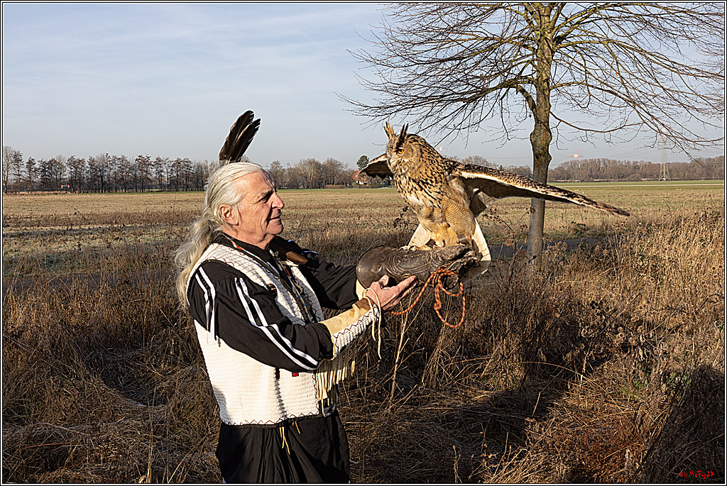 Cheyenne-Halbblut Hunting Wolf in der Falknerei Pierre Schmidt; Gymnich, 09.02.2023